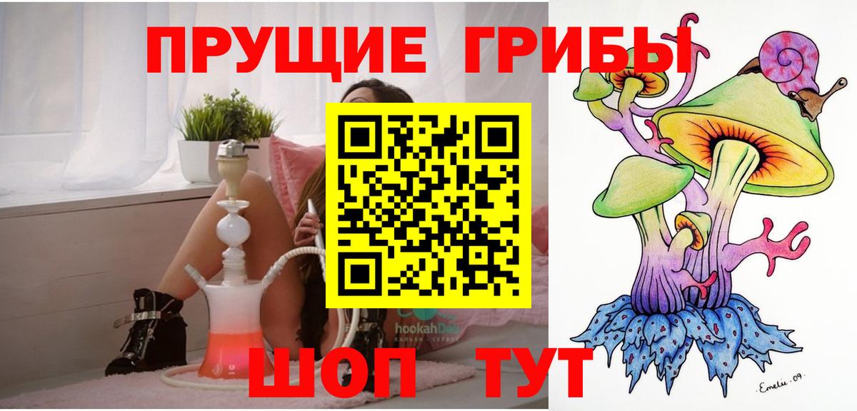 Галлюциногенные грибы Psilocybine cubensis  Вход с VPN  Асбест 